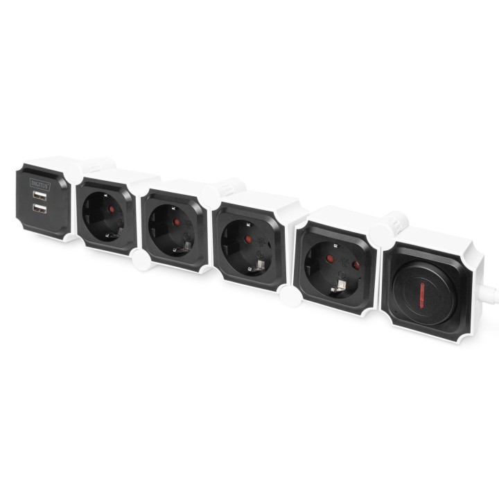 Digitus Presa Multipla Flessibile da 4 con 2 Attacchi USB e Interruttore