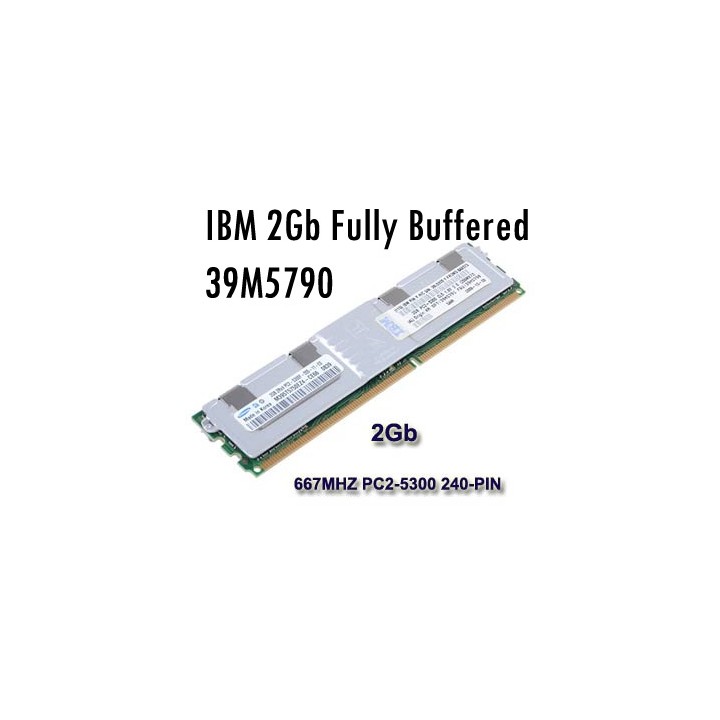 Usato Memoria RAM per Server 4GB DDR2 Dimm 667MHZ 240 Pin PC2-5300 CL4 SDRAM