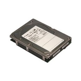 Usato Seagate Hard Disk 73,4GB Fibre Channel 10.000RPM Pn: ST373307FC